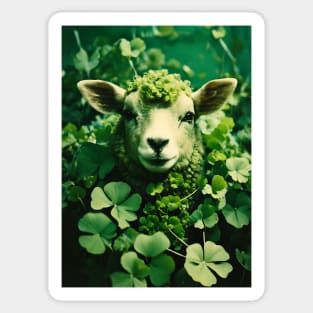 Lucky Sheep Sticker